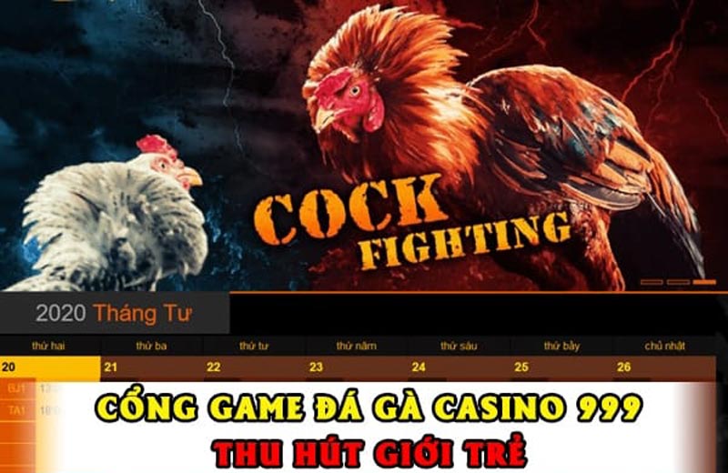 Website đá gà casino 999 - top 9 website đá gà trực tiếp Campuchia